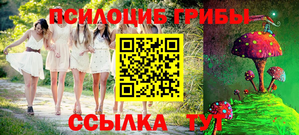 Галлюциногенные грибы Cubensis  Вход с VPN  Калининград  где купить наркотик  Галлюциногенные грибы Magic Shrooms 