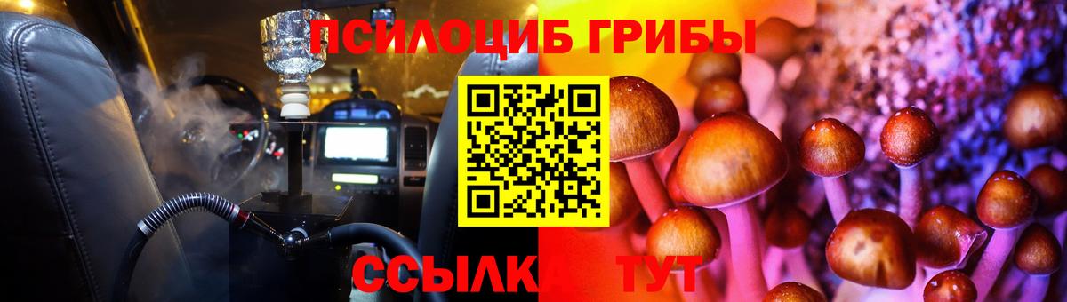 Псилоцибиновые грибы Psilocybe Калининград